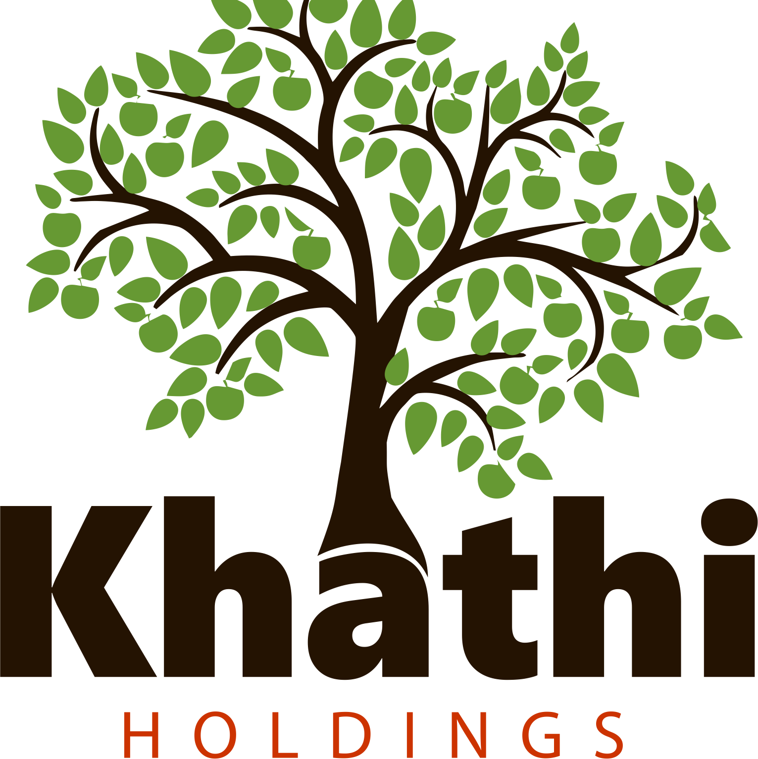 Khathi Holdings